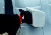 Hutch Feed Bin
